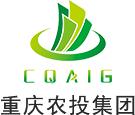 重庆市3118云顶集团官网集团有限公司